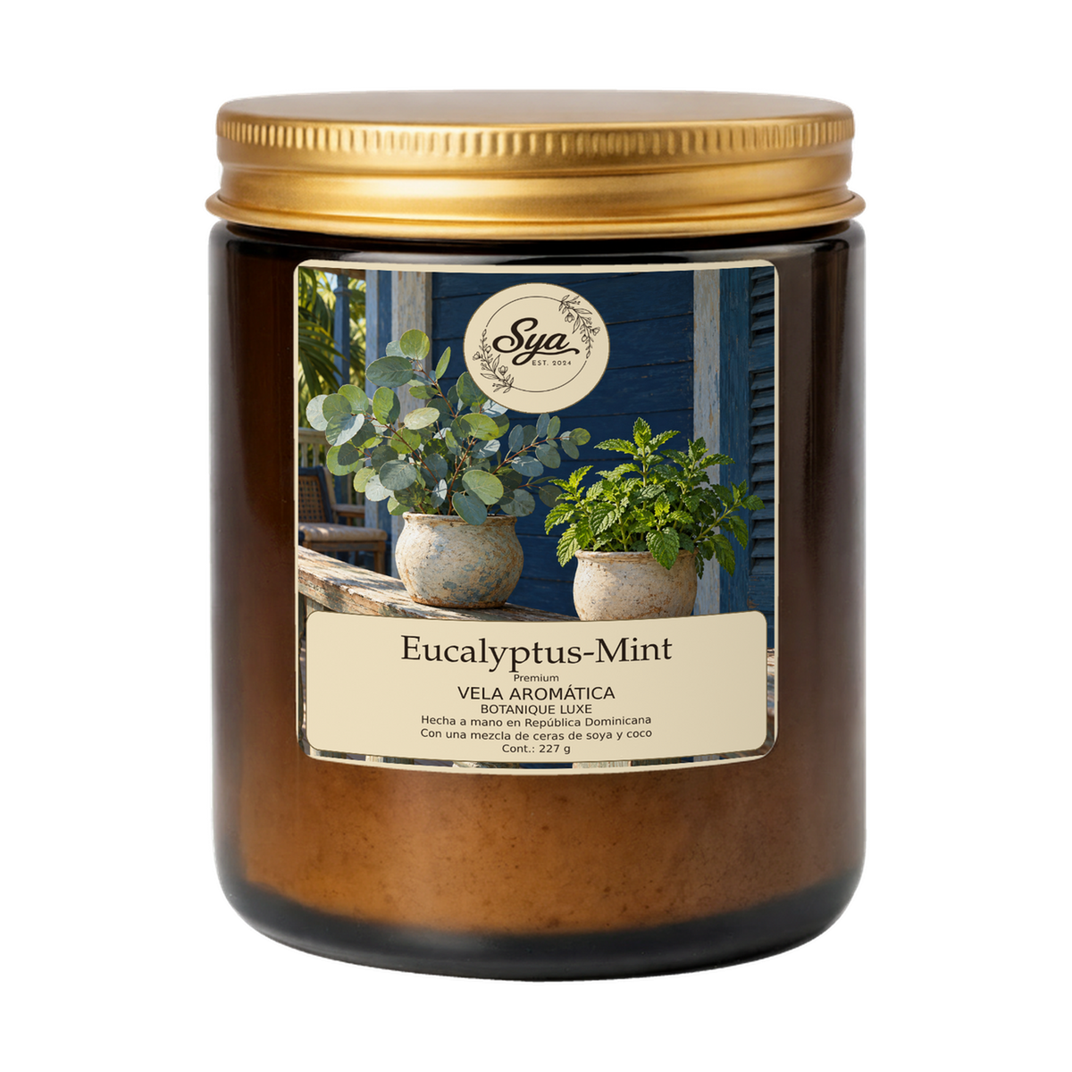 Vela Sya Eucalyptus-Mint de Botanique Luxe en frasco ámbar sobre fondo transparente.