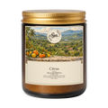 Vela Sya Citrus de Citrus Luxe en frasco ámbar sobre fondo transparente.